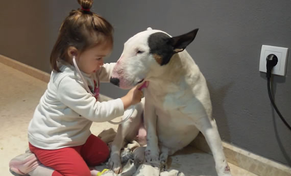 Bebes y animales: Nena jugando con su perro