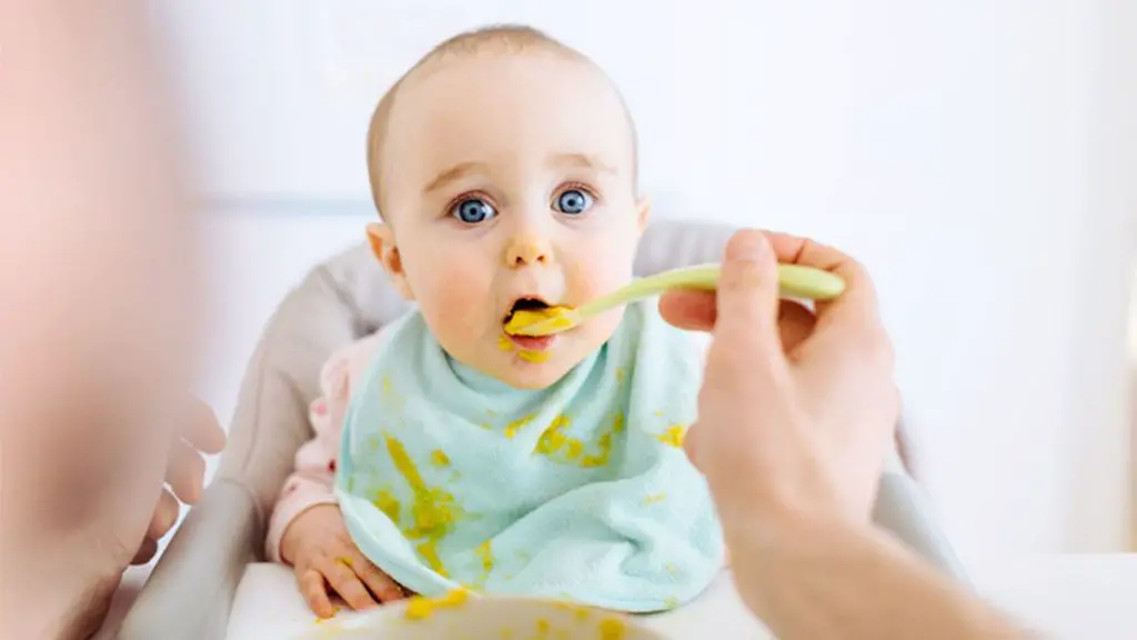 alimentos para tu bebé
