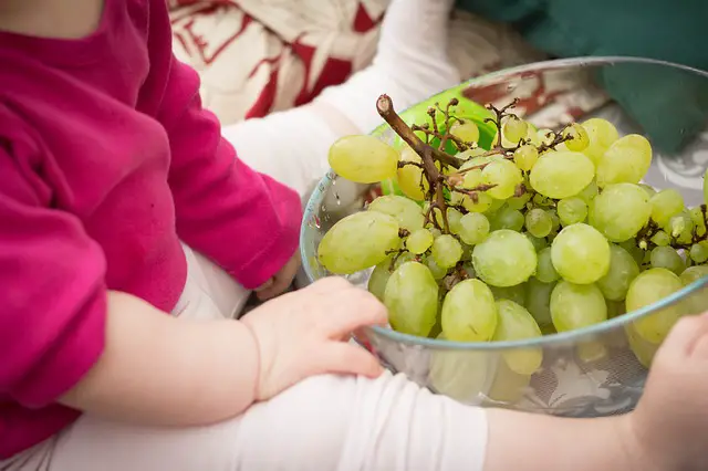 bebe con uvas