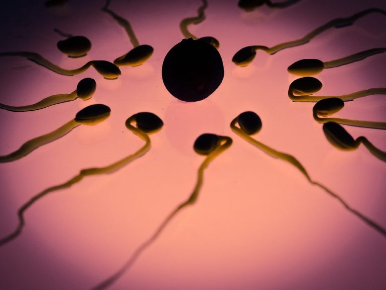 Que Tan Probable Es Quedar Embarazada Con El Liquido Preseminal