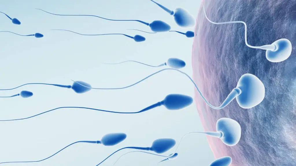 La infertilidad un problema más cotidiano de lo que crees