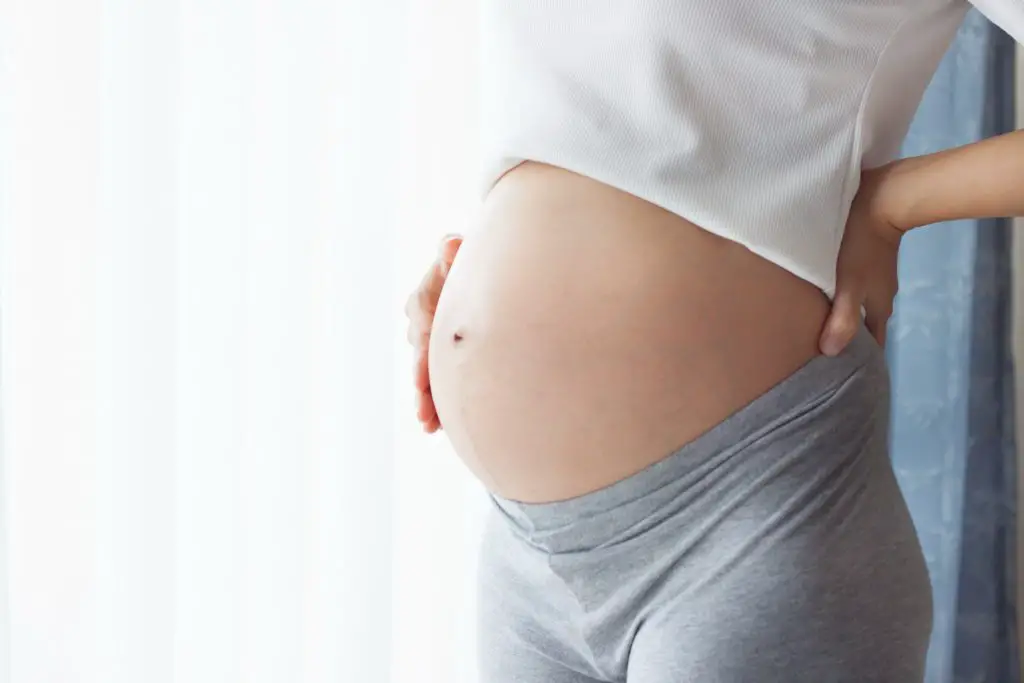 24 semanas de embarazo panza