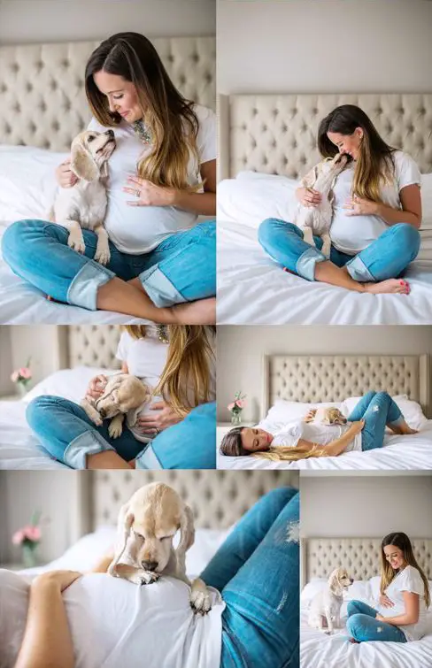 Fotos de embarazada con su mascota