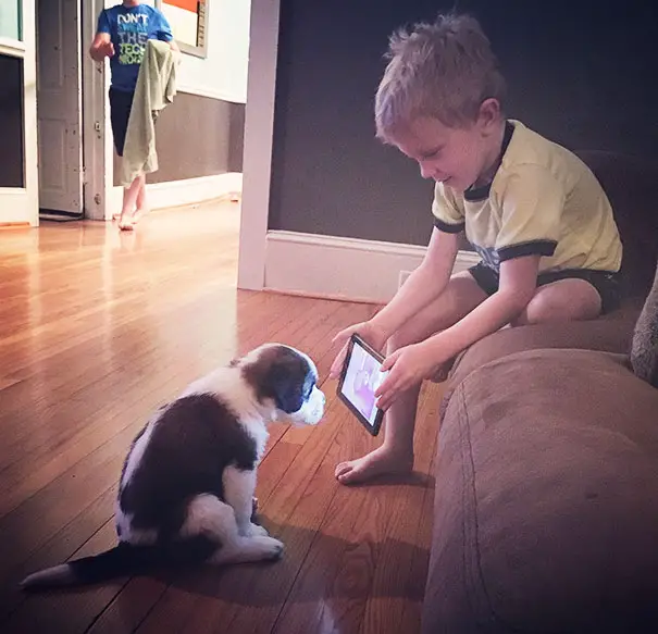 niño entrenando perrito con videos de youtube