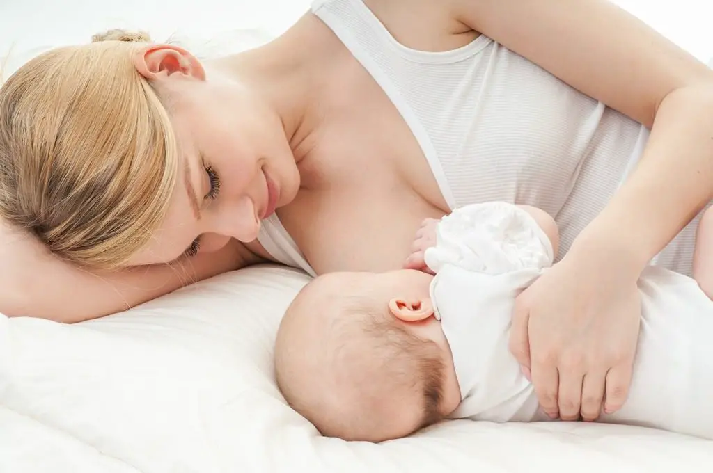 plan de alimentación de lactancia materna