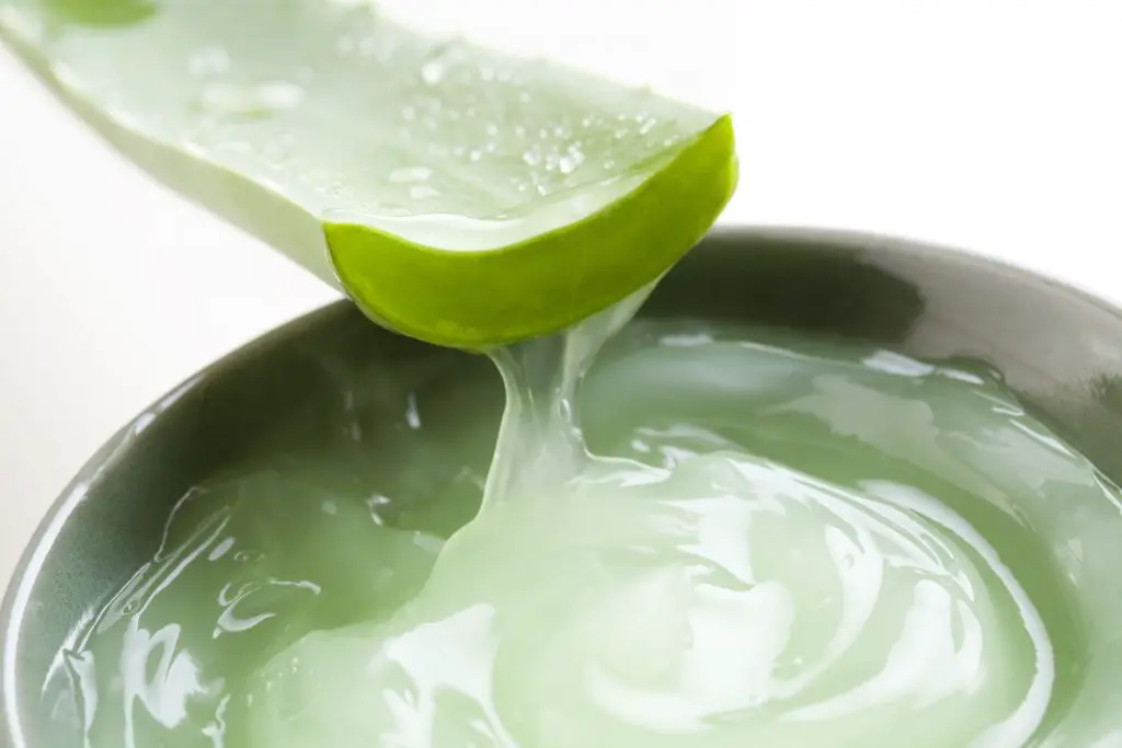 remedios caseros para la conjuntivitis gel de aloe vera remedios caseros para la conjuntivitis gel de aloe vera