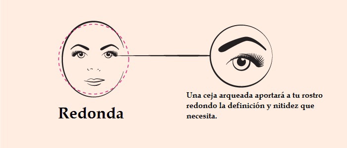 tipos de cejas segun la forma del rostro redonda