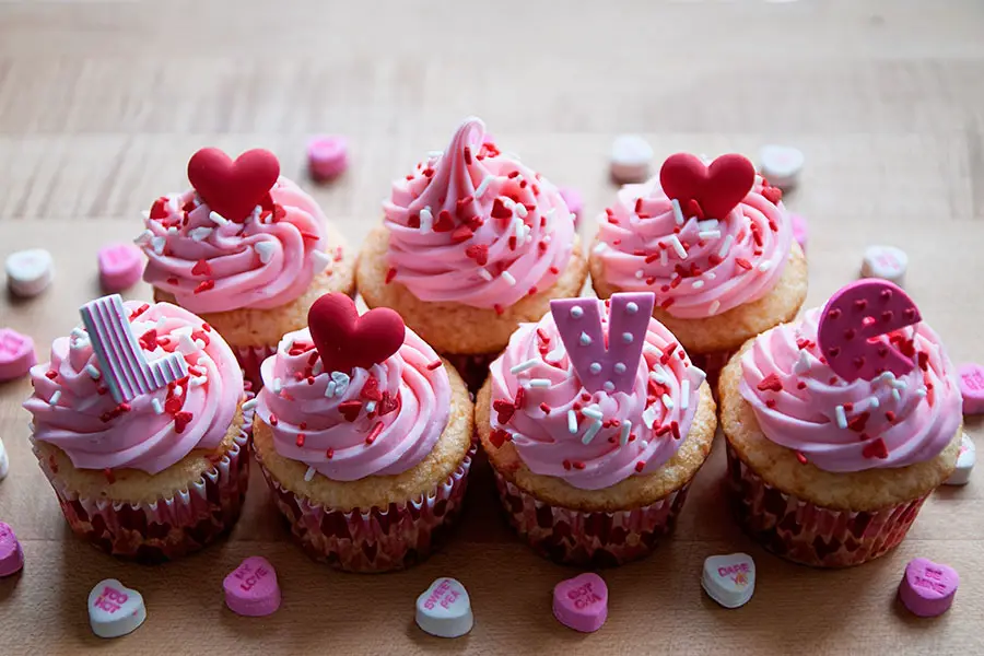 cupcake lover
