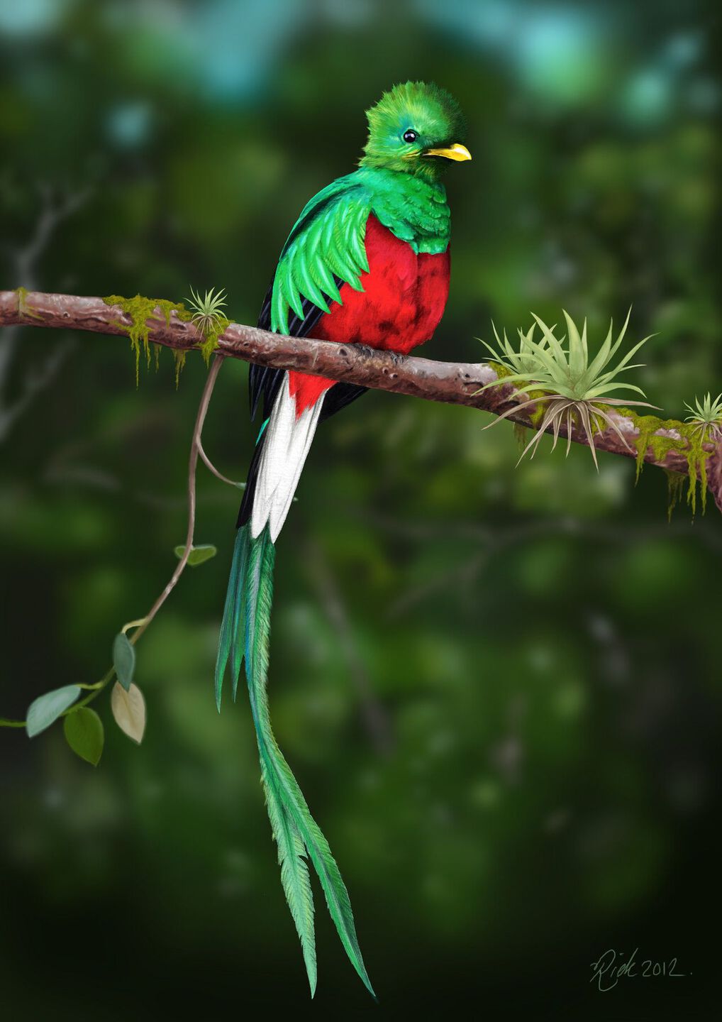 El quetzal