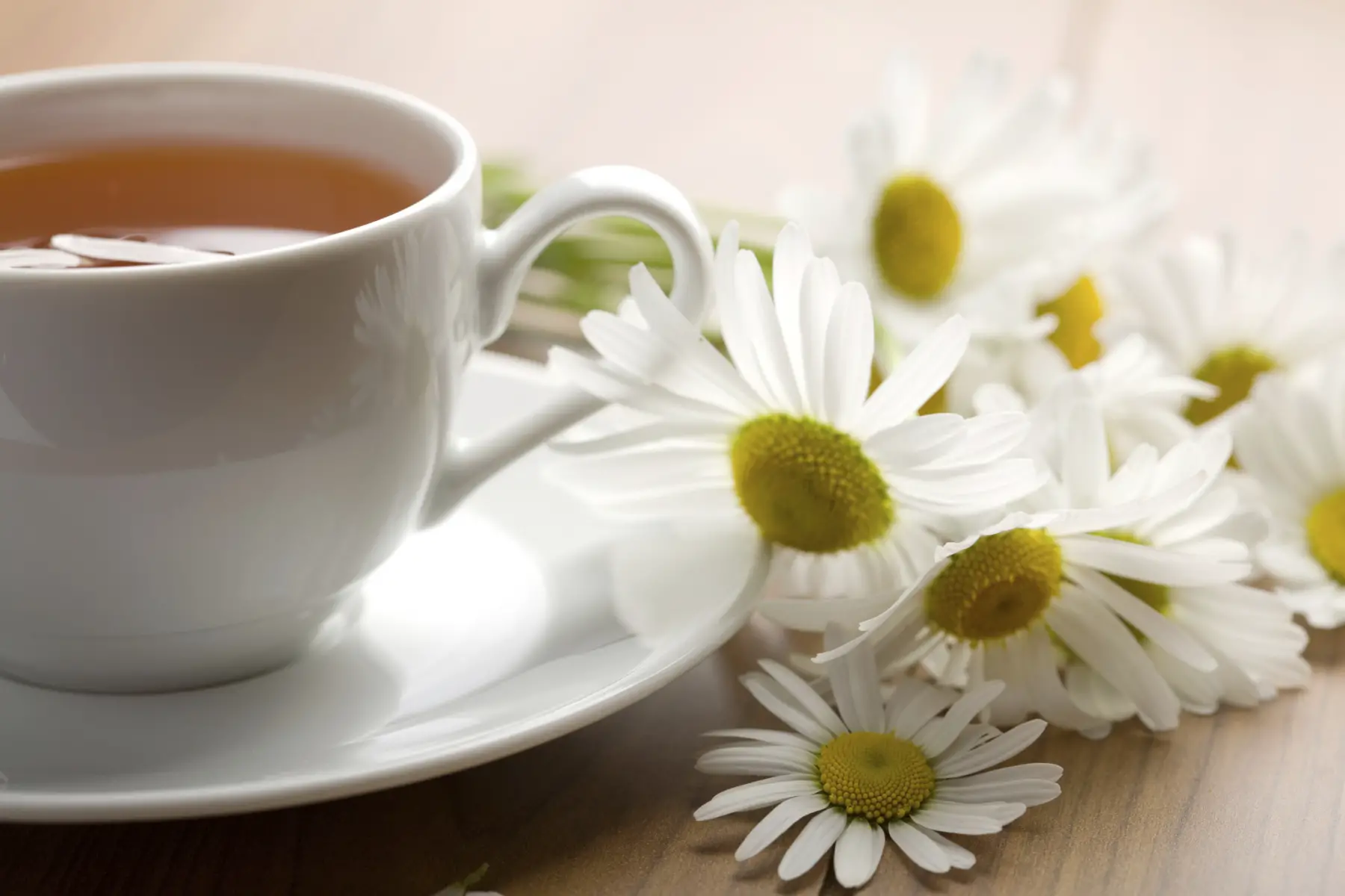  Beneficios de tomar té de manzanilla
