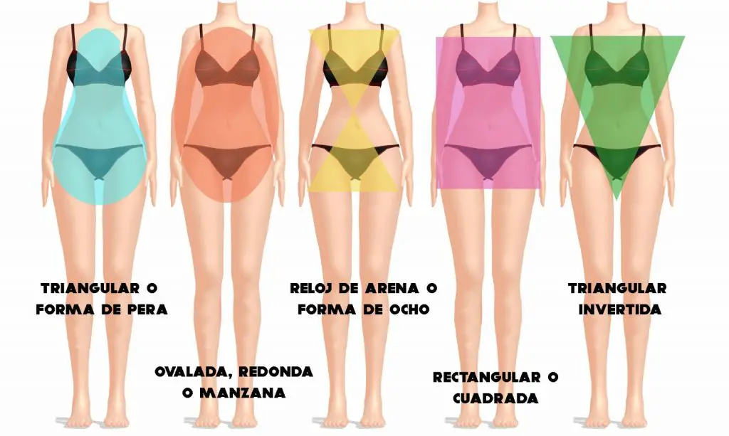 TIPO-DE-CUERPOS