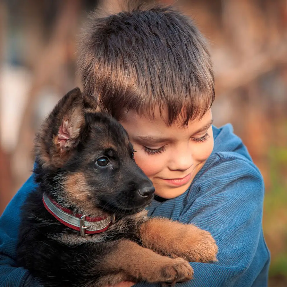 Animales para niños (domésticos y salvajes) ¡Tipos, características y ...