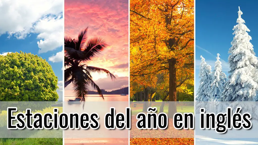 Estaciones del año en ingles: Vocabulario + ejemplos para enseñar el