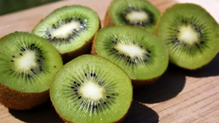El Aguacate Es Fruta O Verdura Wikipedia