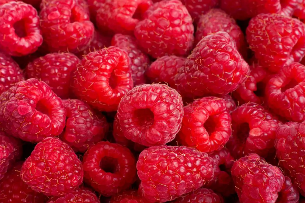 frutas rojas