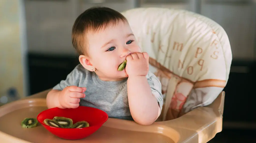 comidas para bebes de 9 meses tips