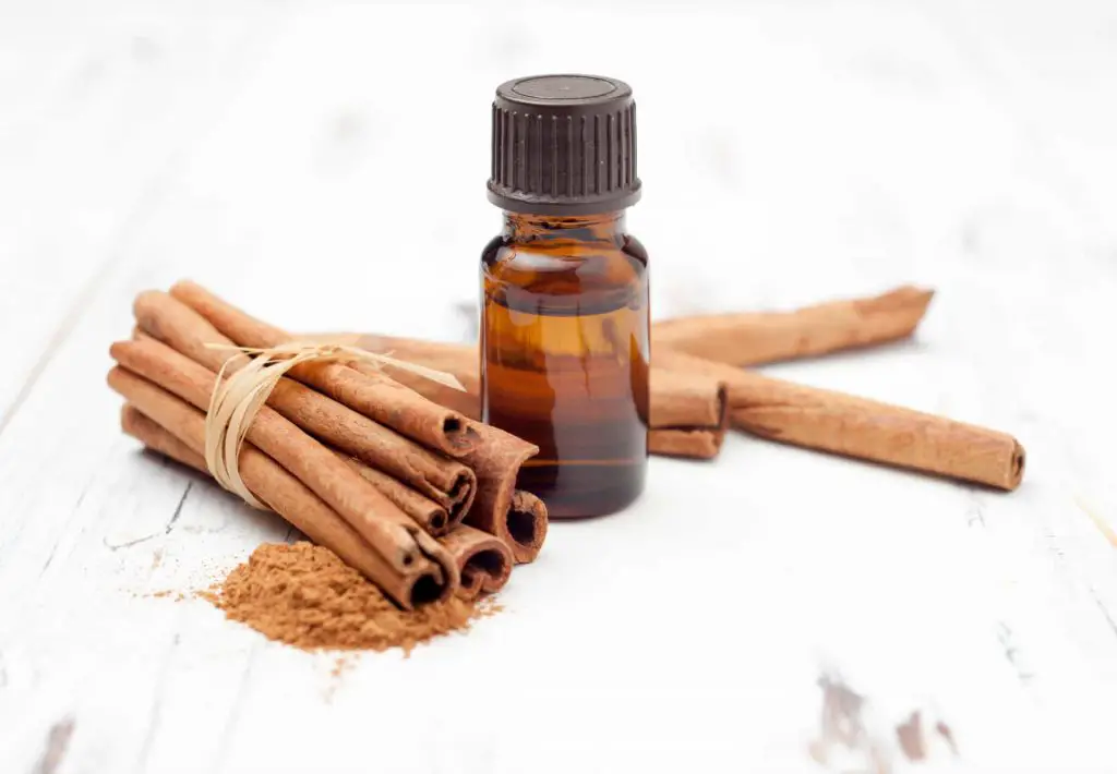 como hacer mascarillas caseras capilar de canela