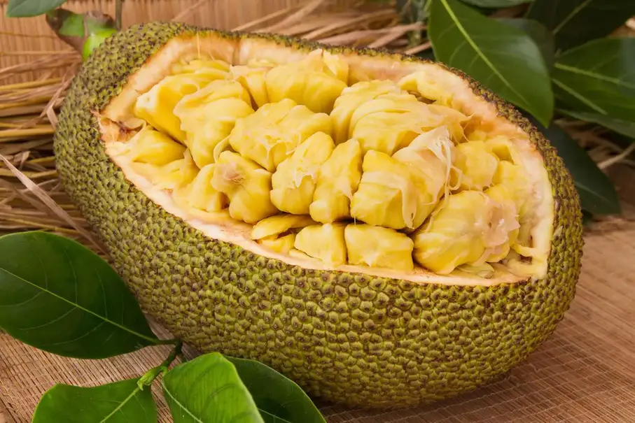 frutas raras jaca o yaca