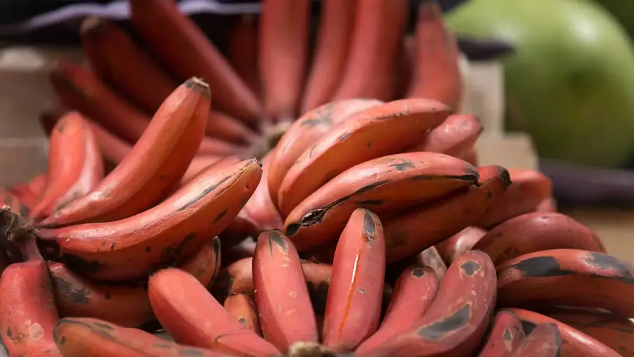frutas raras platano rojoo