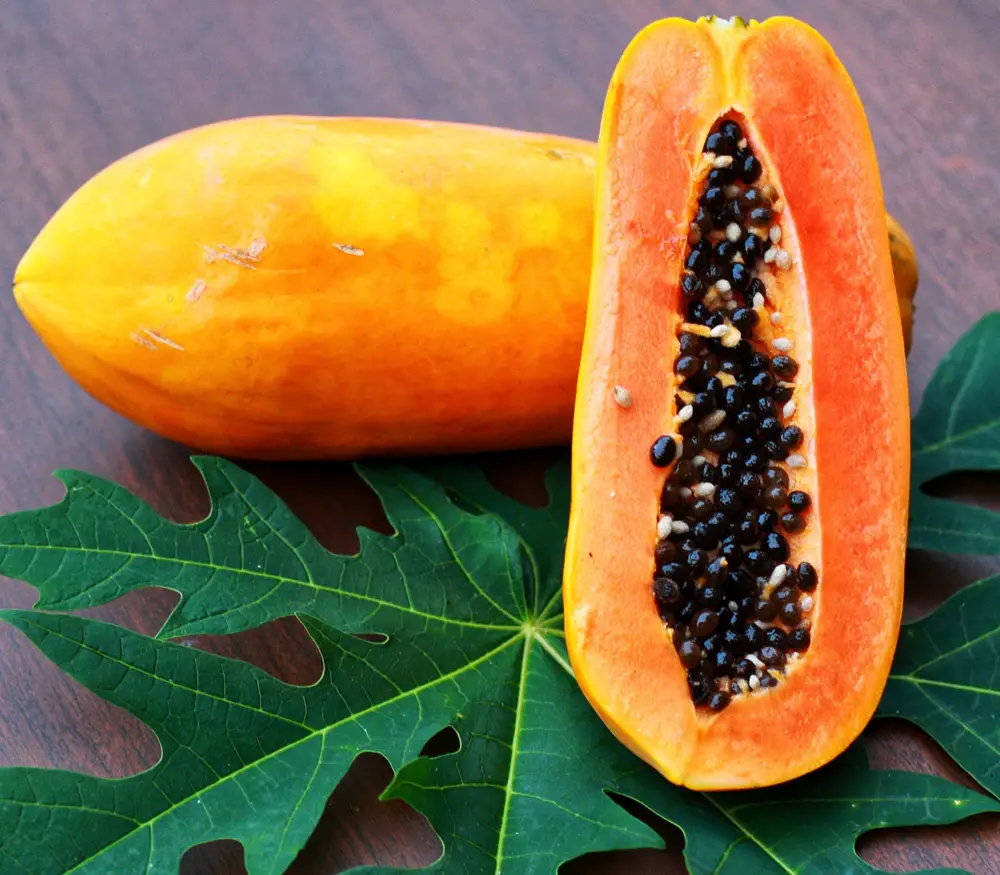 nombres de frutas papaya