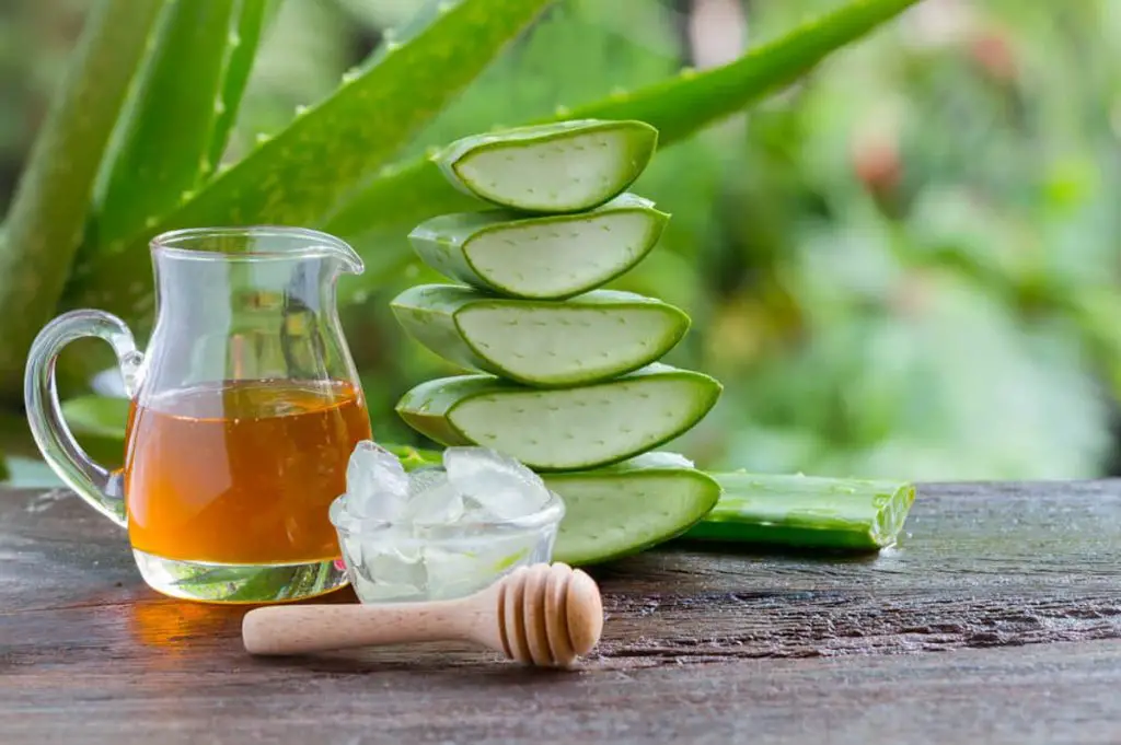Mascarillas caseras para la cara aloe vera Mascarillas caseras para la cara aloe vera