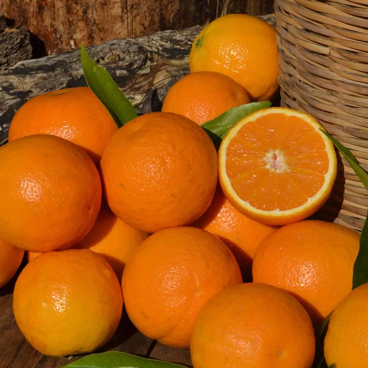 frutas para bebes naranja