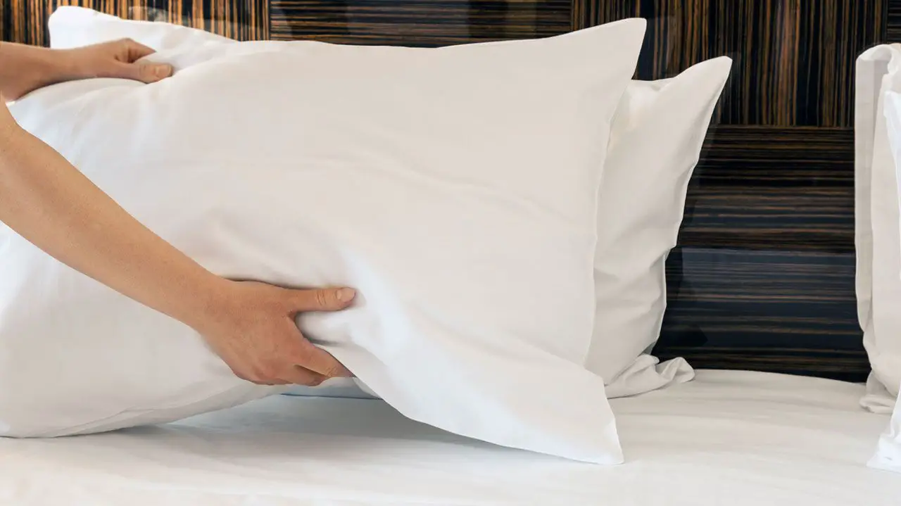 Como elegir una almohada por tipos de almohadas 47