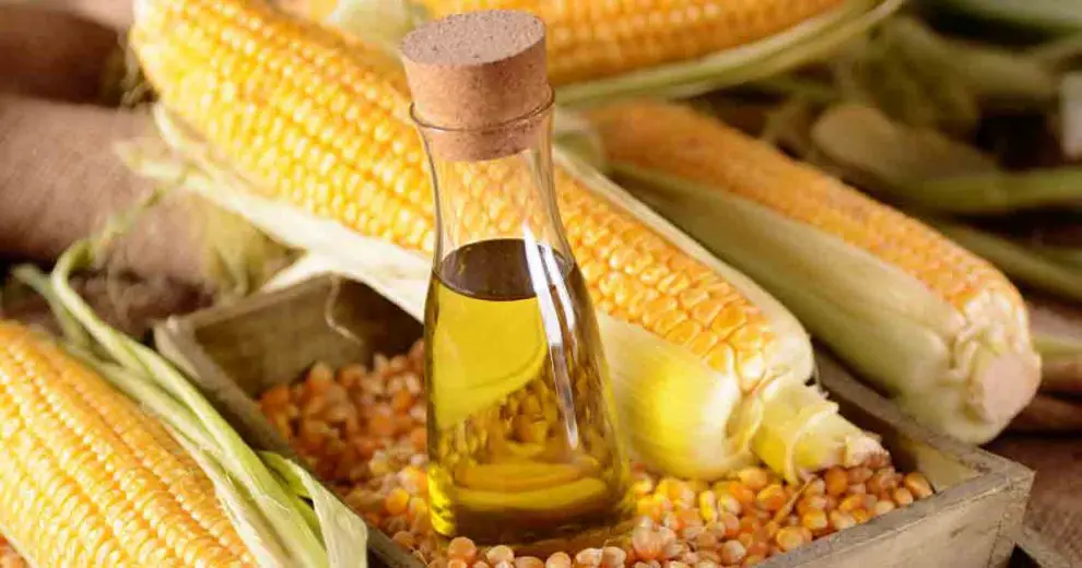 Beneficios del aceite de maíz para la belleza