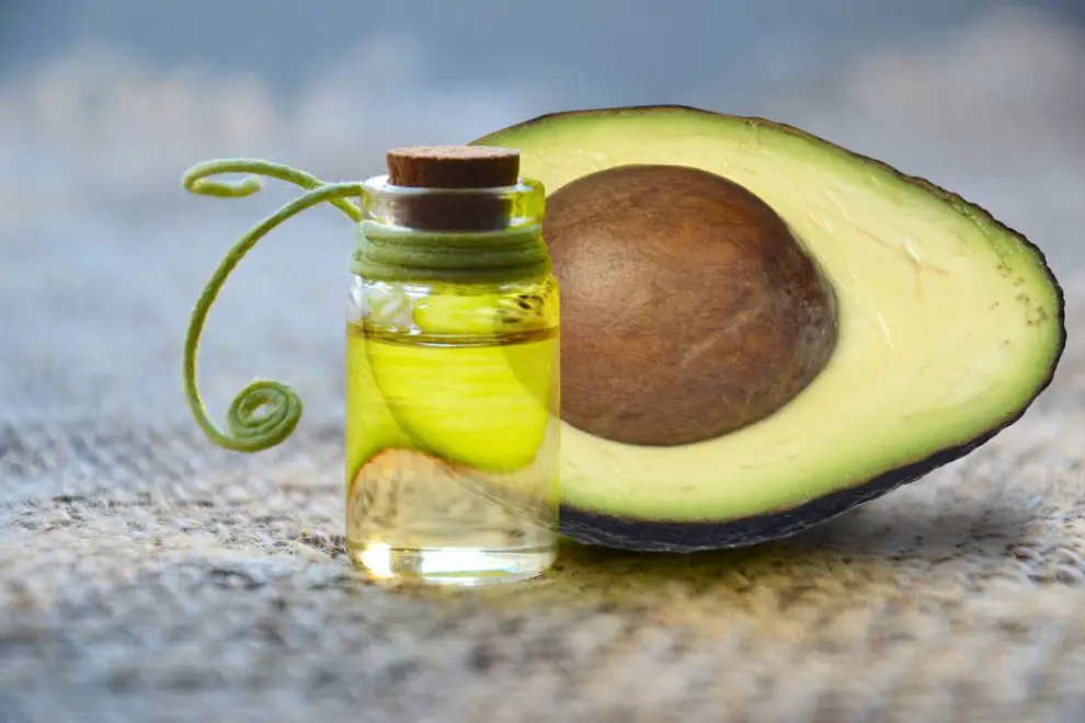 Aceite De Aguacate: ¿Cuáles Son Sus Beneficios Para La Belleza?