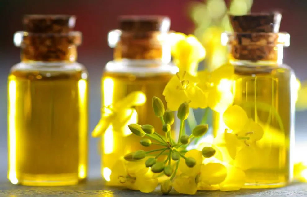 8 Usos Del Aceite De Canola Para La Rutina De Belleza