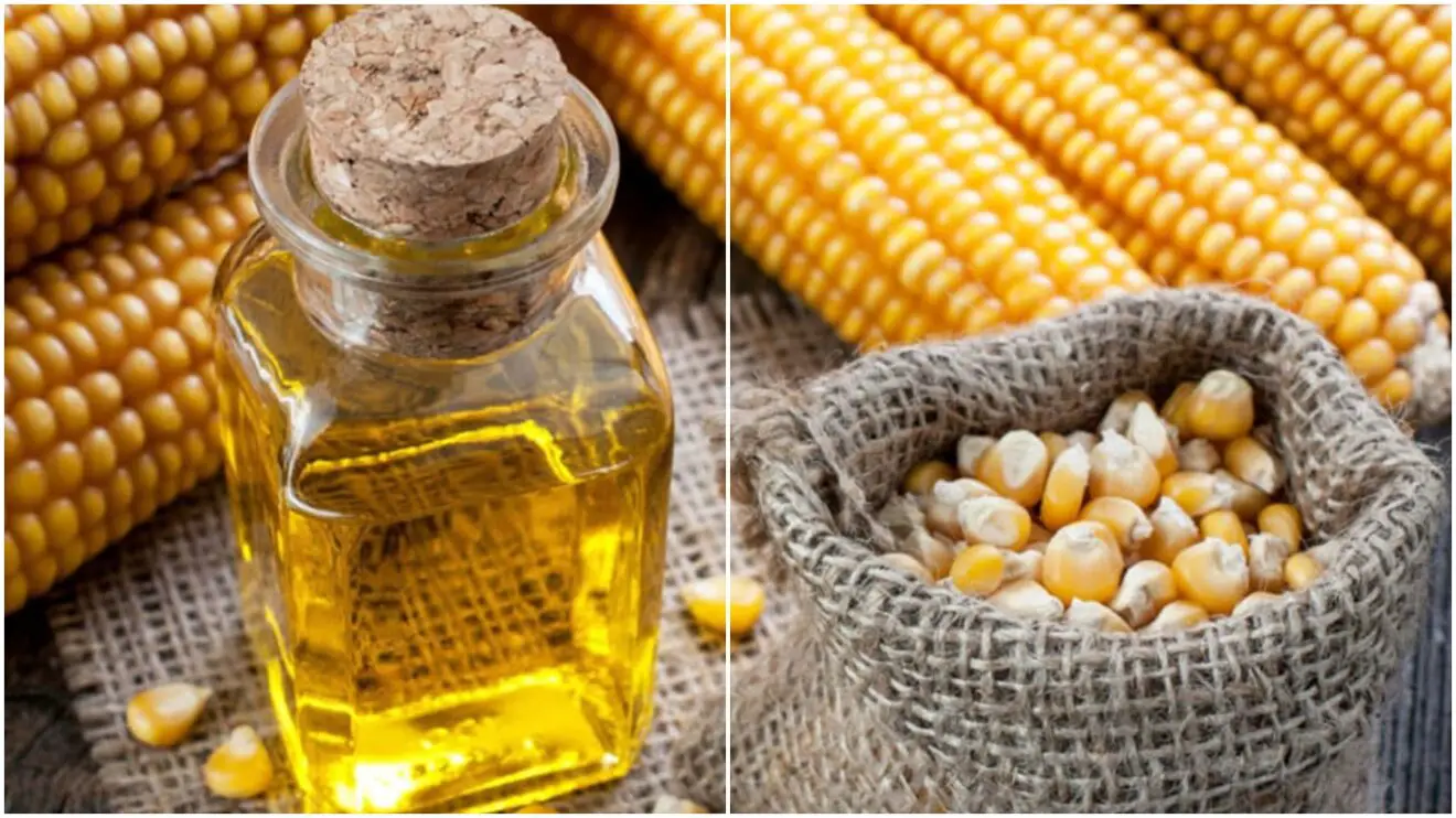 Beneficios del aceite de maíz para la belleza