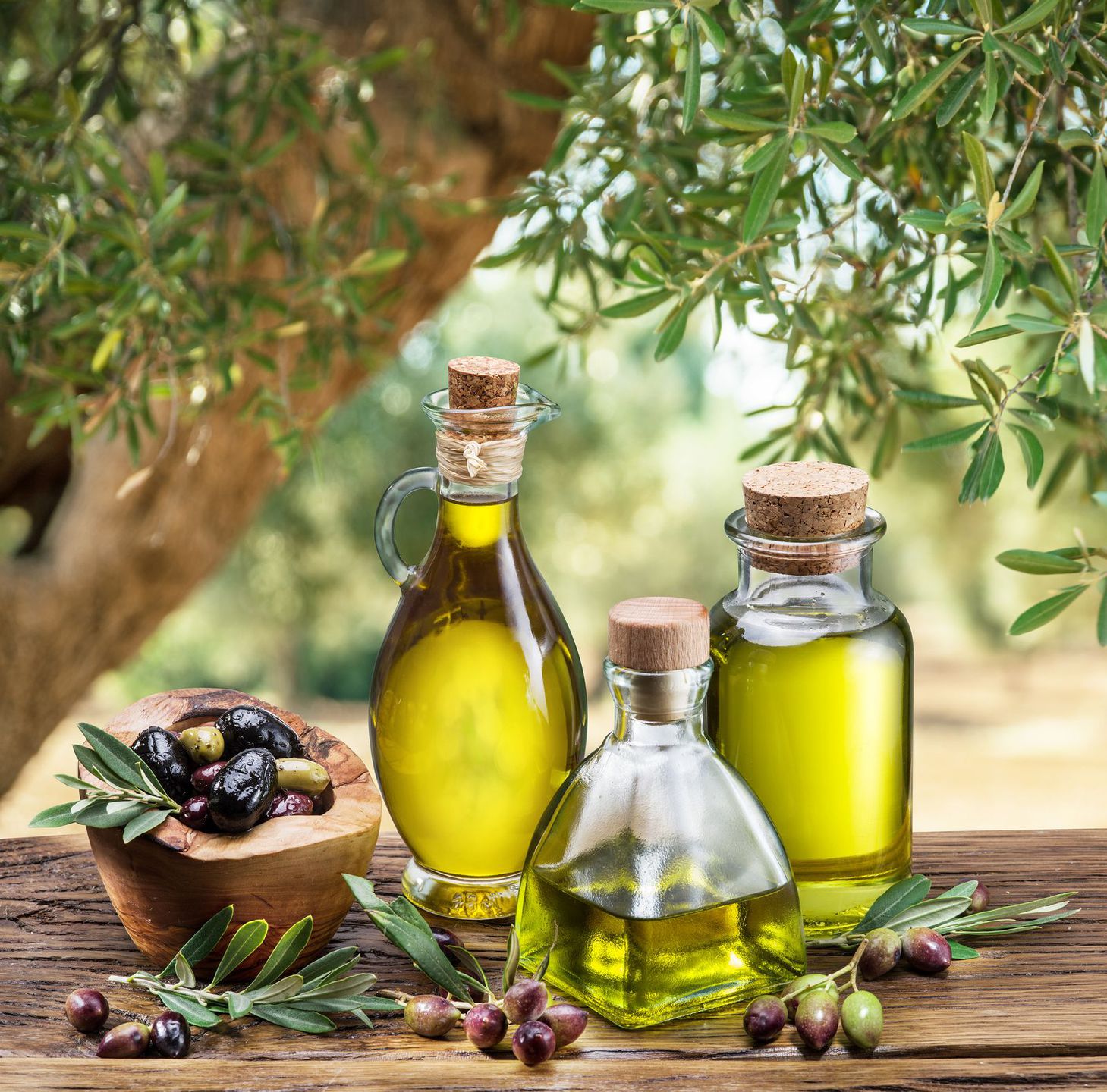 aceite de oliva de jaen 1