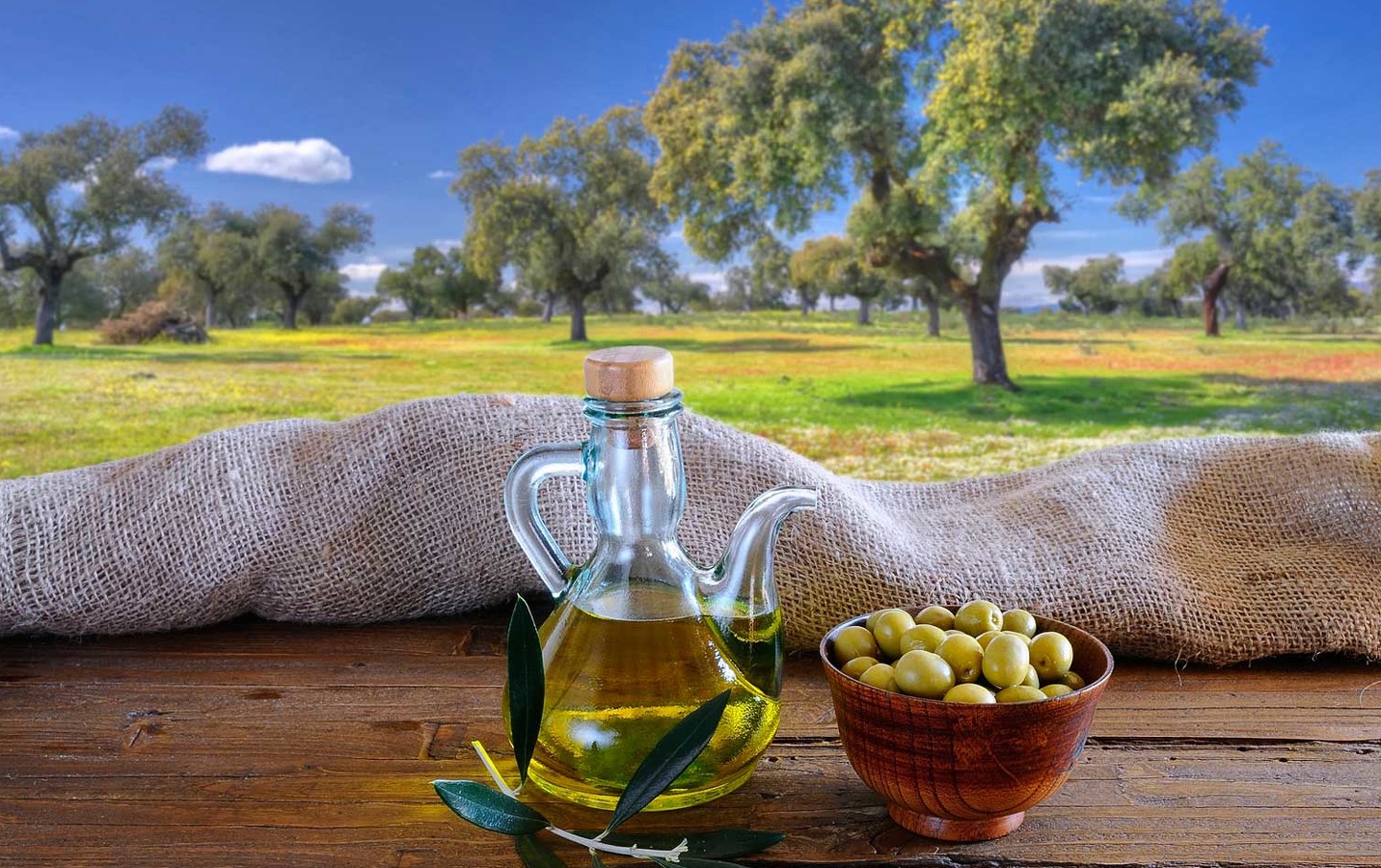 aceite de oliva de jaen 5