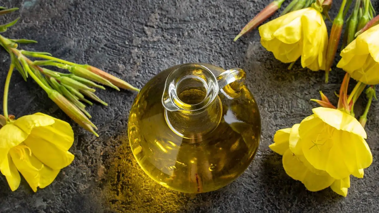 aceite de primula 14