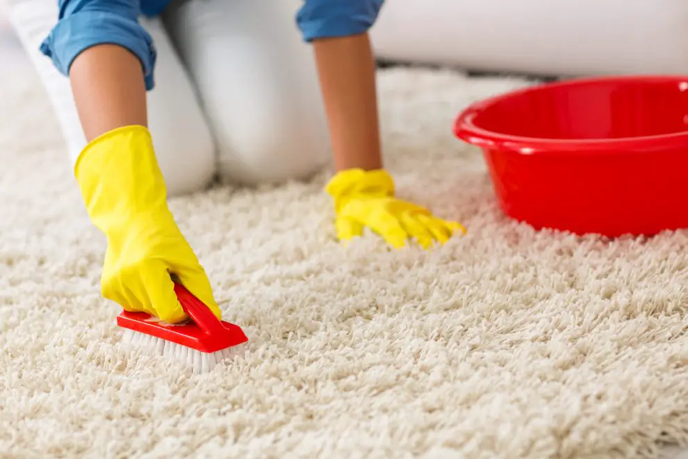 ¿Cómo lavar una alfombra? Trucos de limpieza para mantenerla reluciente ¿Cómo lavar una alfombra? Trucos de limpieza para mantenerla reluciente