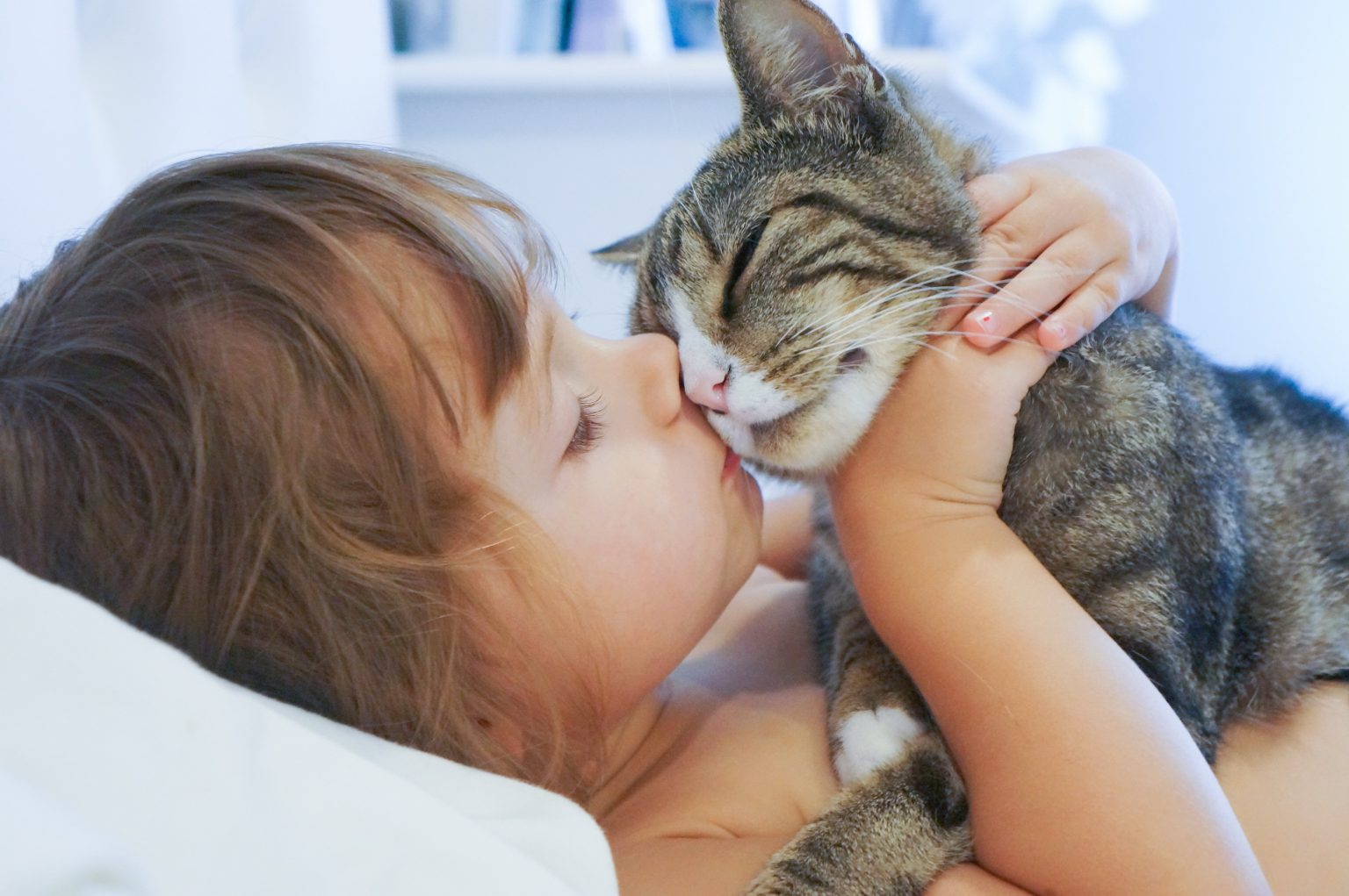 ¿Cuál es el mejor gato para niños? ¡+7 Razas ideales para tener en casa!