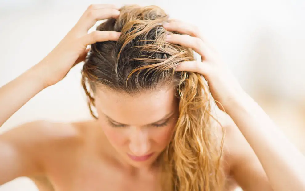 Remedios caseros para el cabello graso +11 Recetas para
