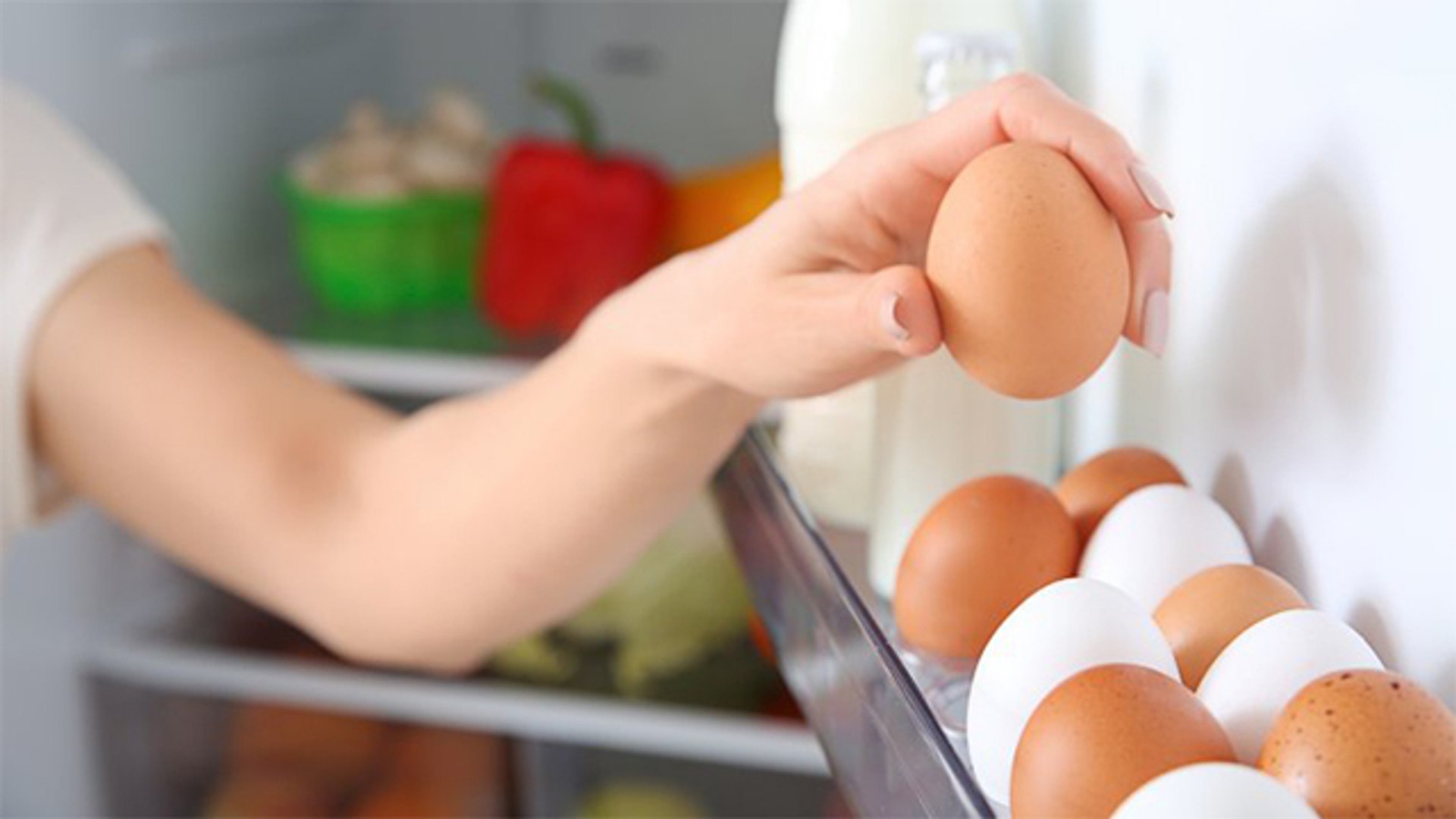 Cuanto duran los alimentos en la heladera y el freezer huevos
