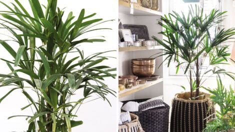 Revista de decoración ???? Propuestas e ideas para decorar tu casa ️