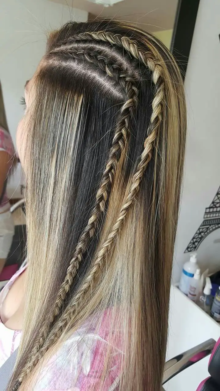 Trencitas 19