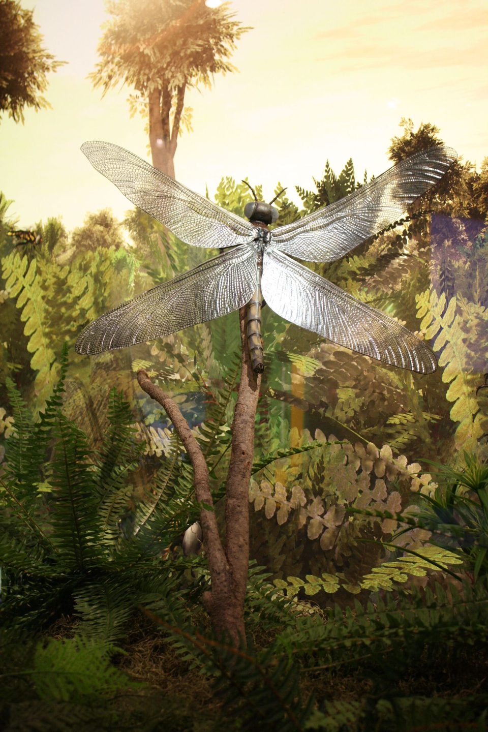 Animales prehistoricos 1