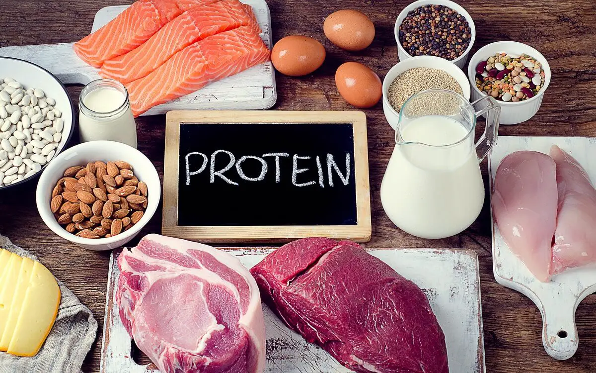 dieta hipercalorica proteina animal