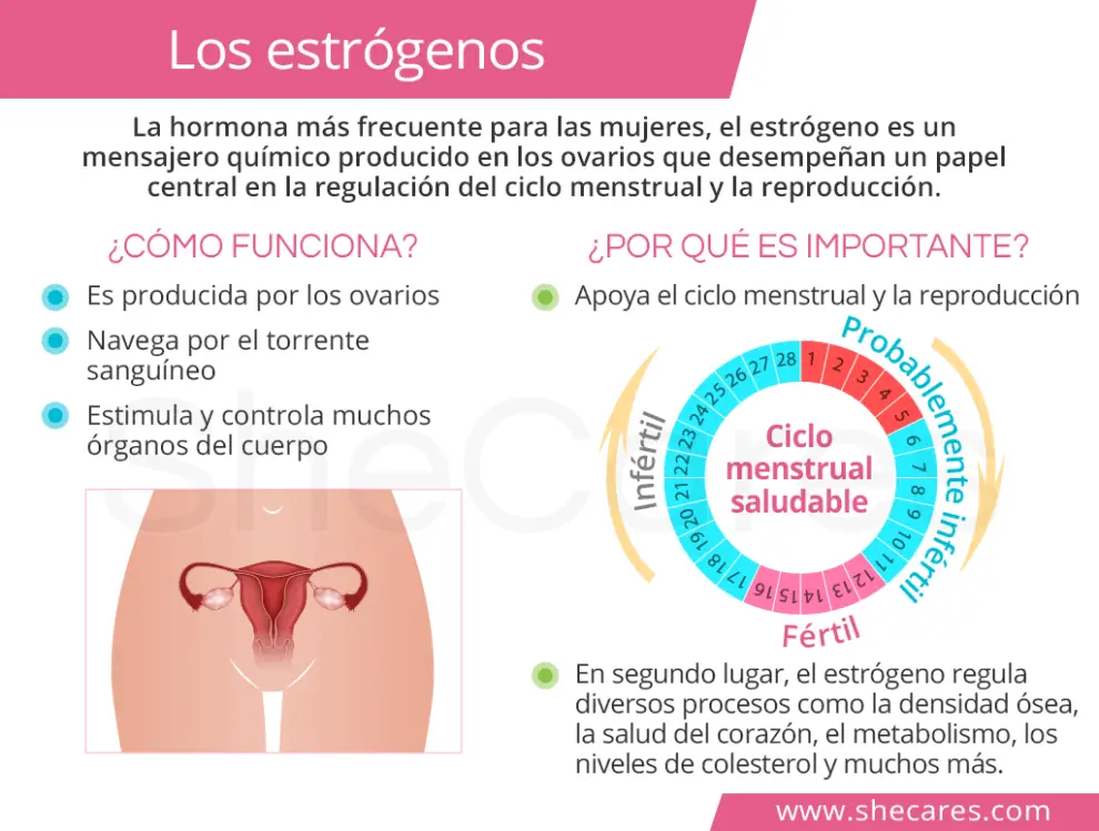 Lo Que Debés Saber Sobre Las Hormonas Femeninas 2063