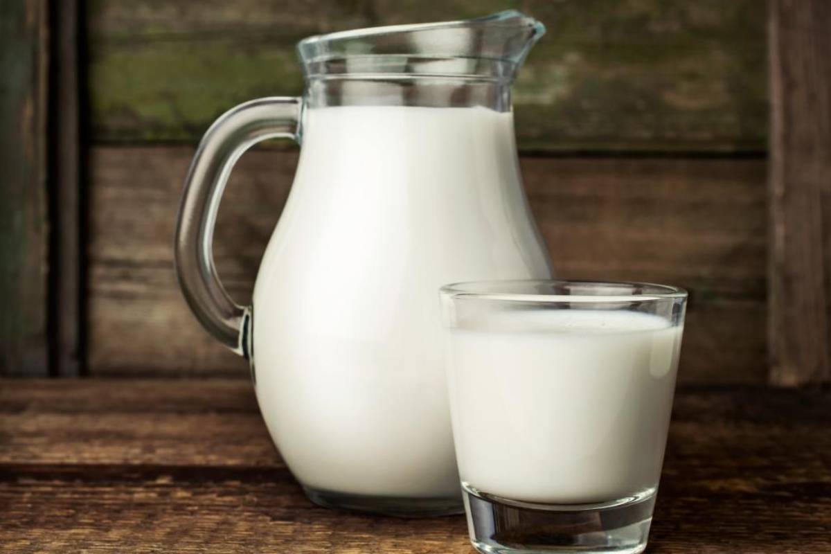 alimentos ricos en calcio leche
