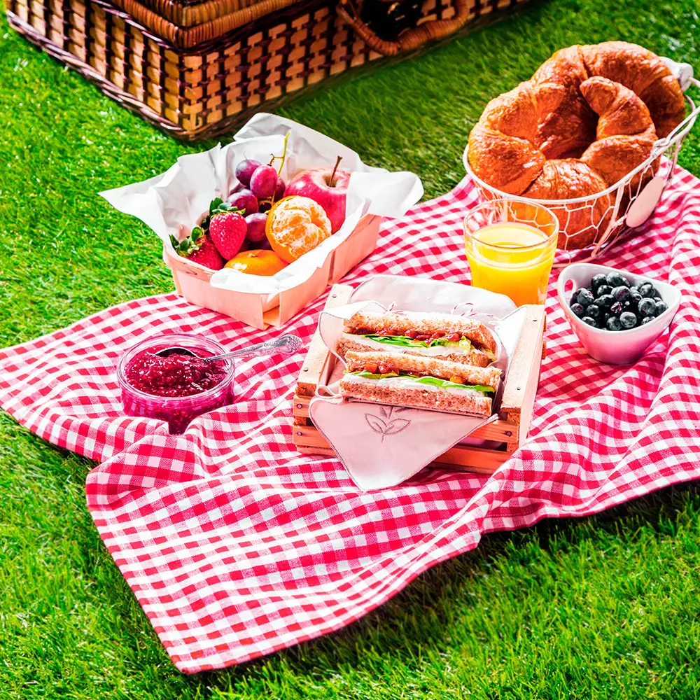 Ideas para picnic en pareja romántico 