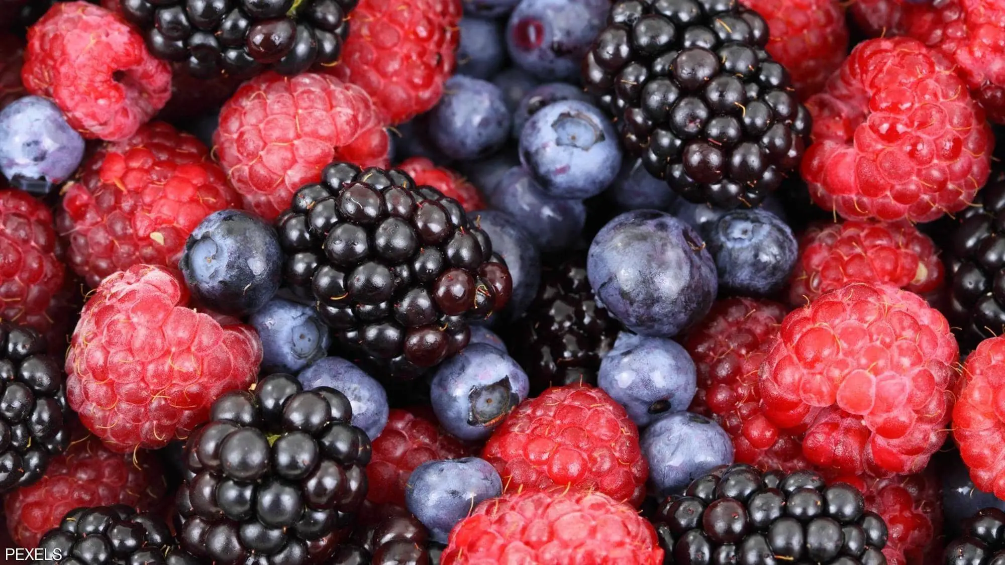 frutos con flavonoides