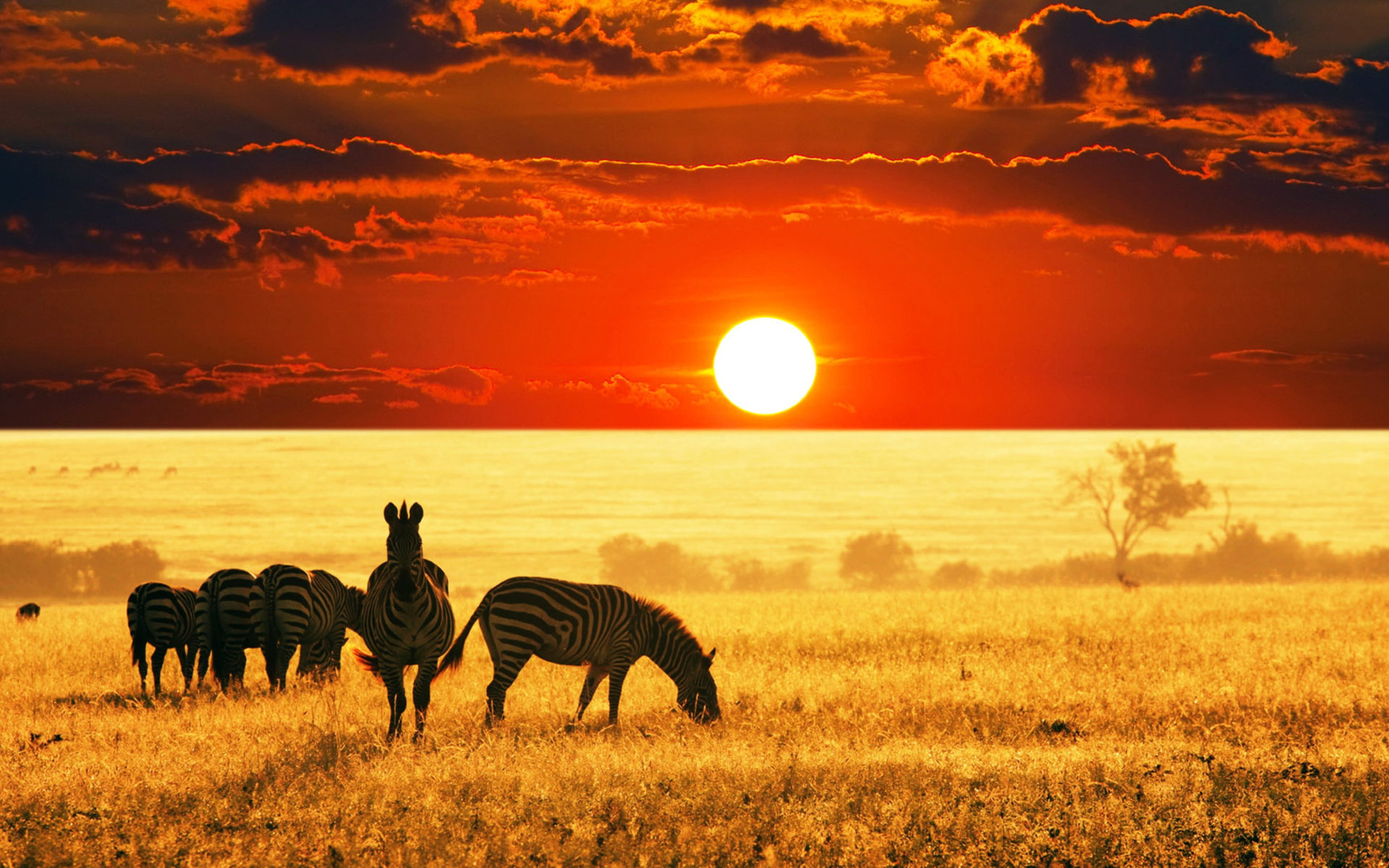 animales de la sabana cuales son