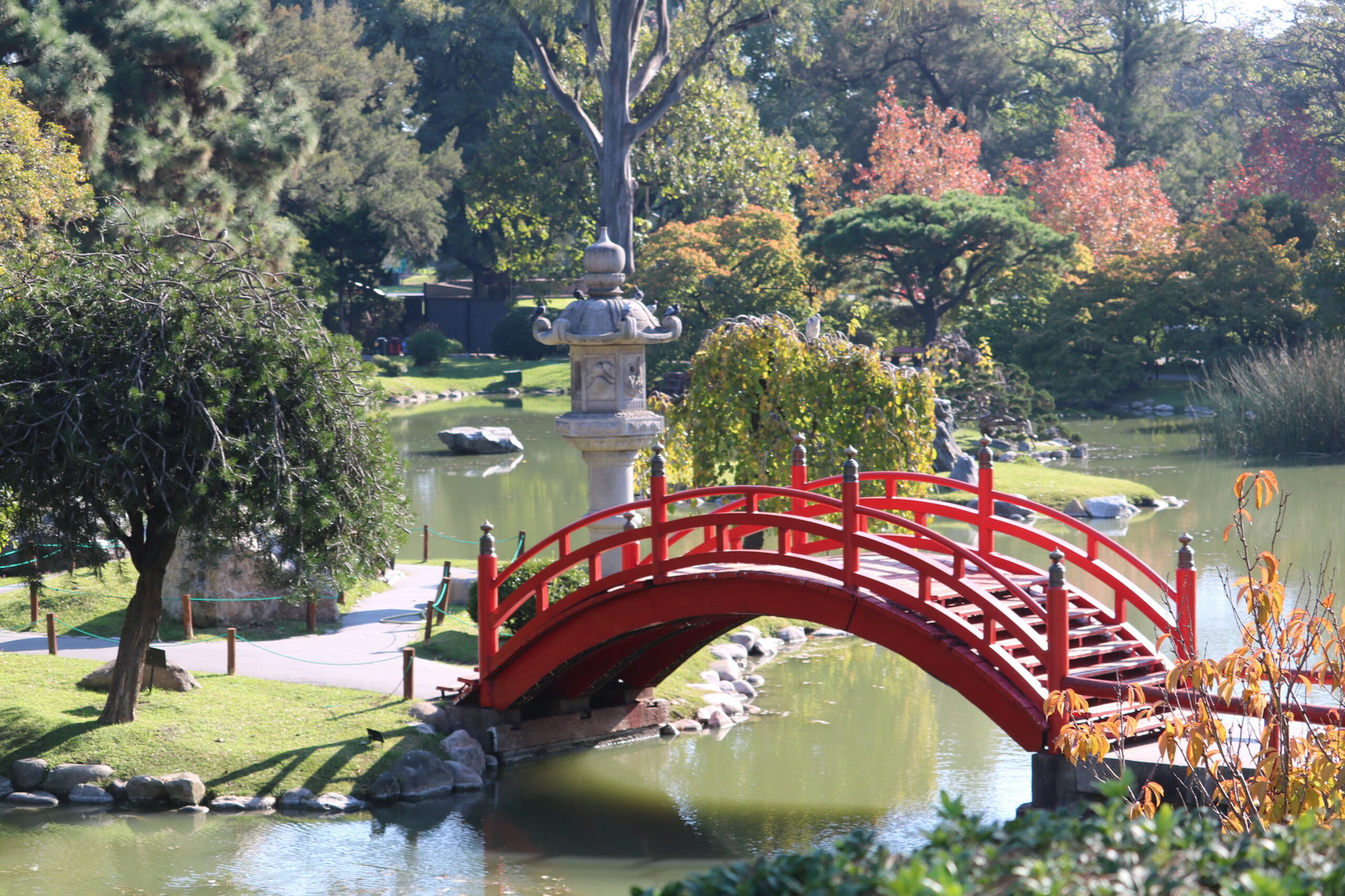 jardin japones